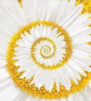 Psychology for Ecology